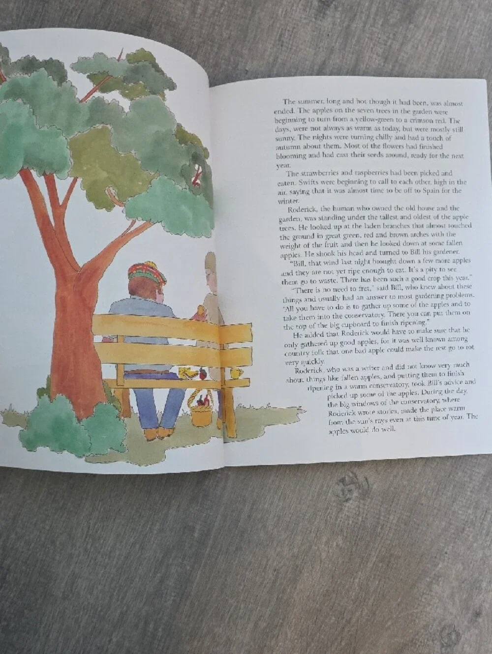 Hamish McMoosie Kids Book - Purple Cover